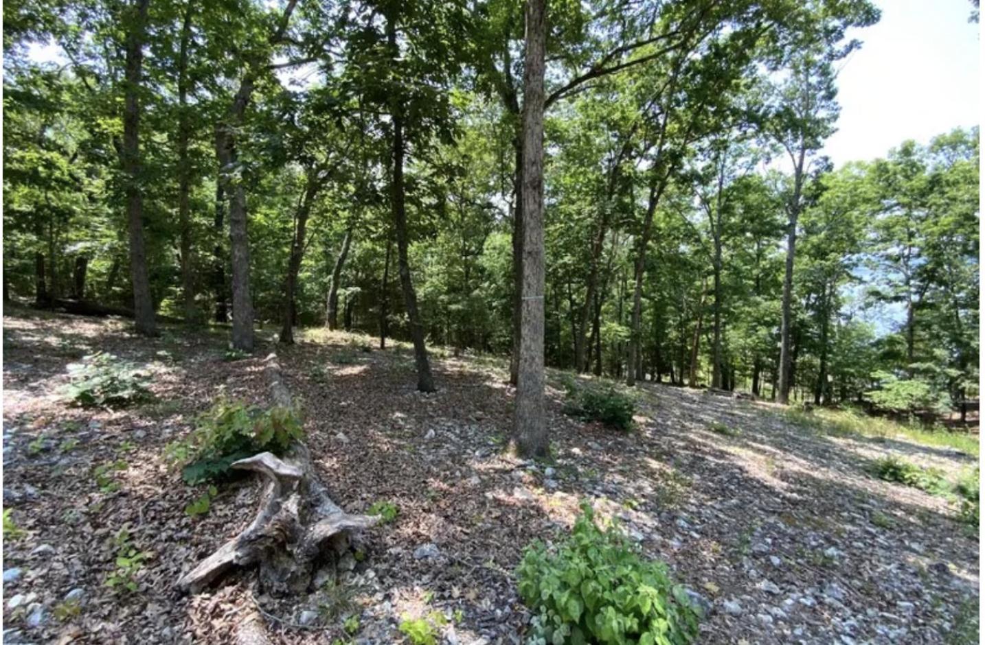 Driftwood Resort Bull Shoals Luaran gambar