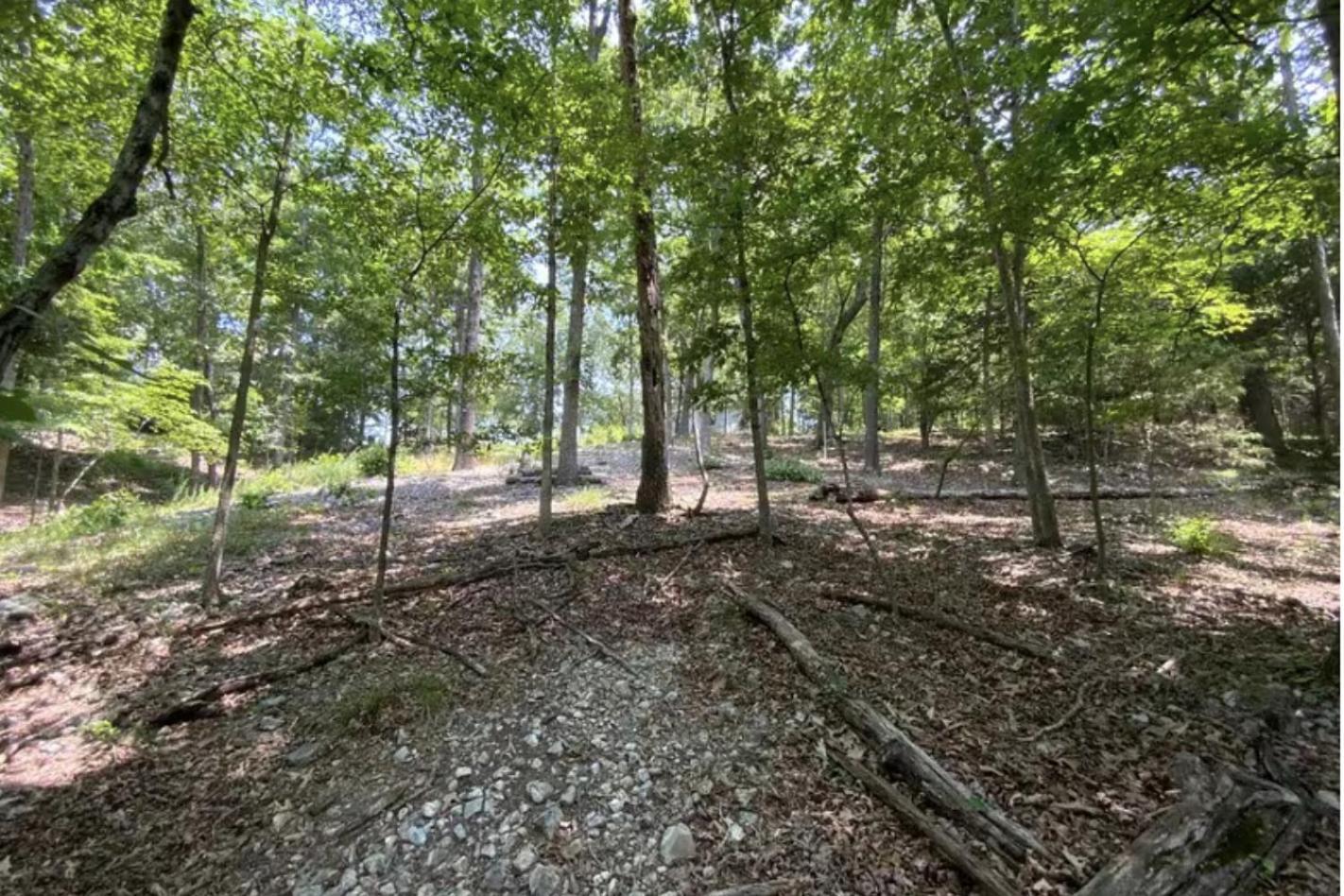 Driftwood Resort Bull Shoals Luaran gambar