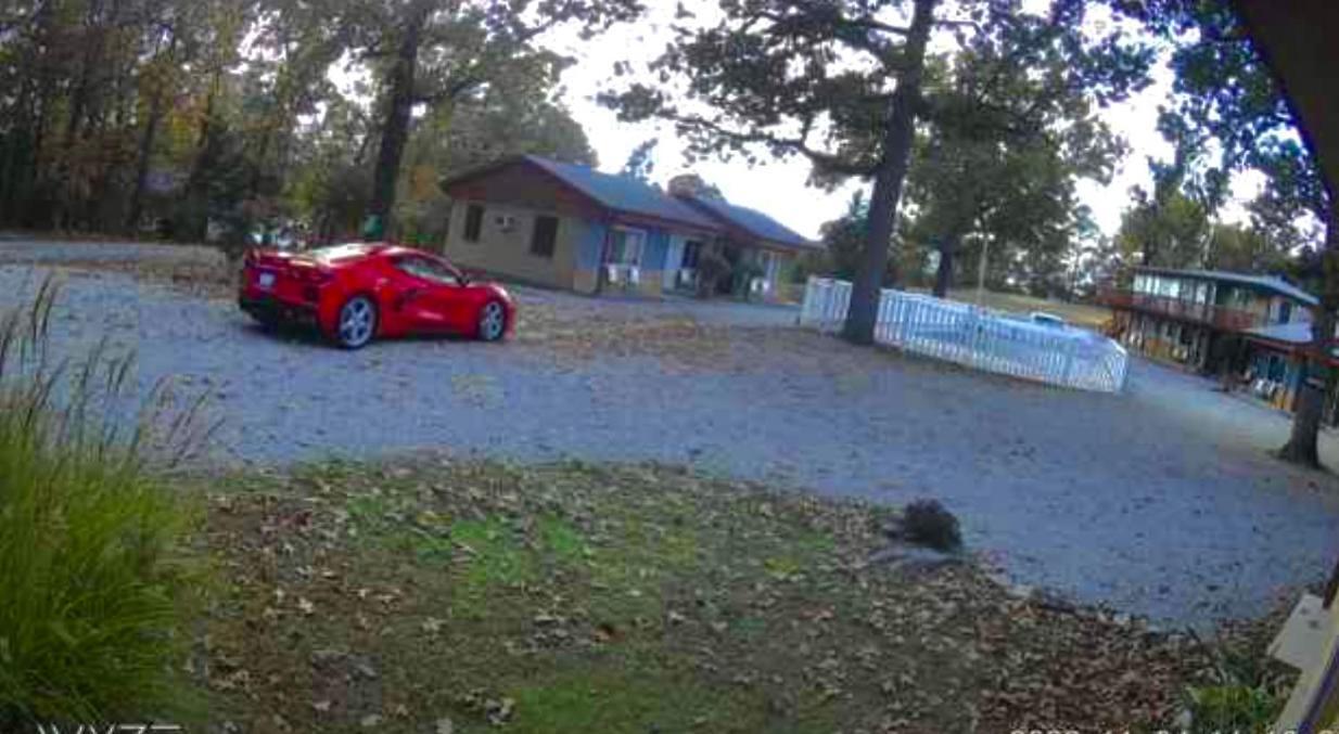 Driftwood Resort Bull Shoals Luaran gambar